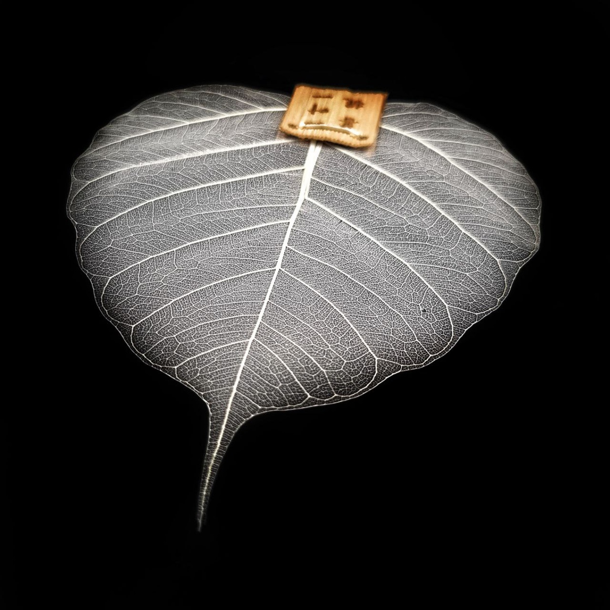 Сито "Лист дерева Бодхи" 2