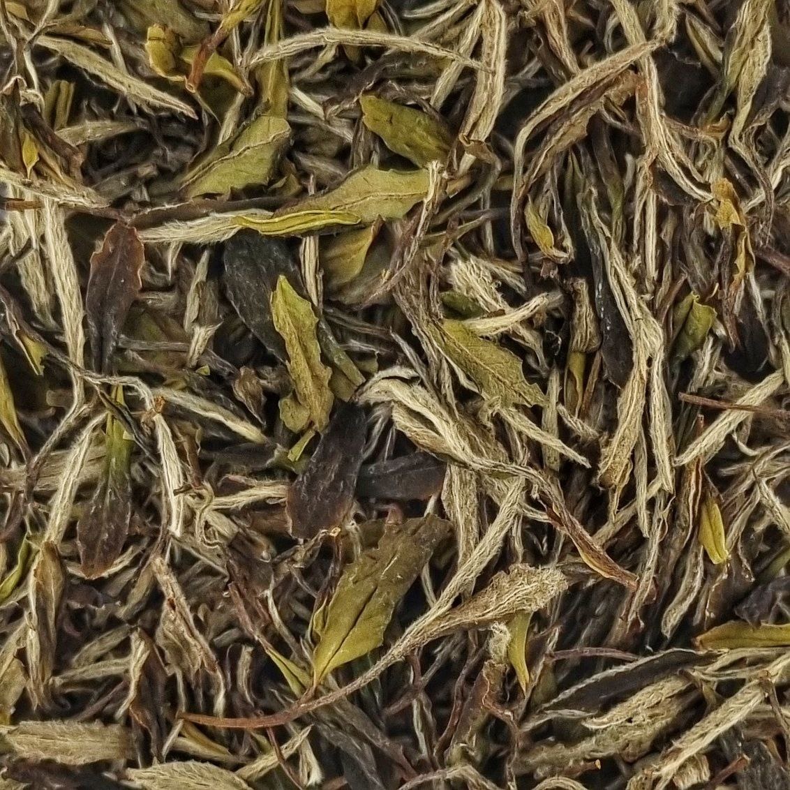 И Цзи Бай Му Дань 2020 (I)