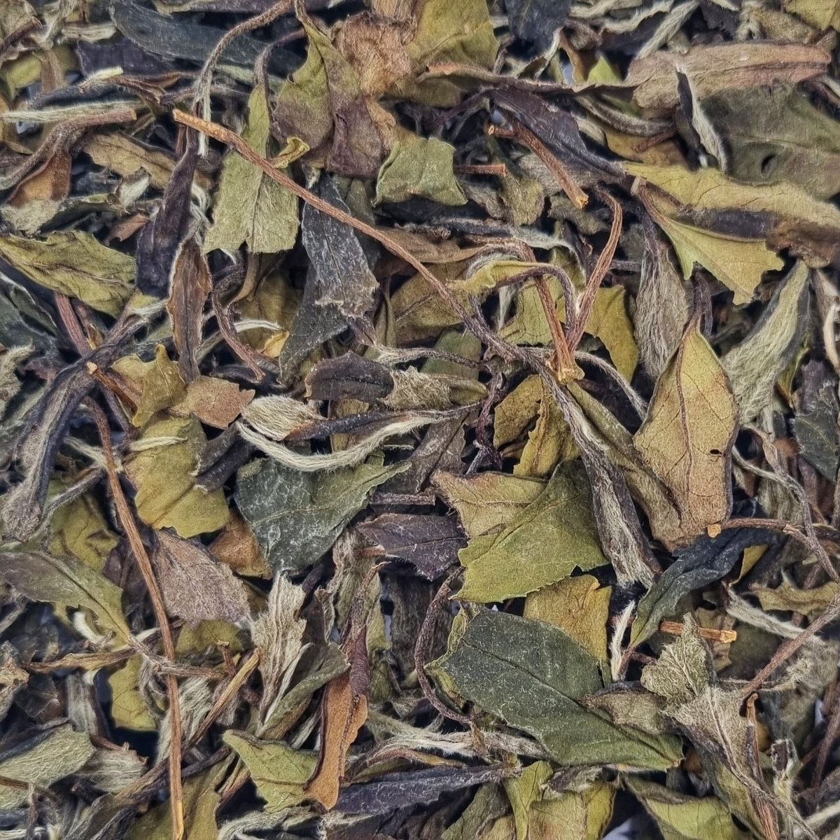 Гун Мэй 2020 (I)