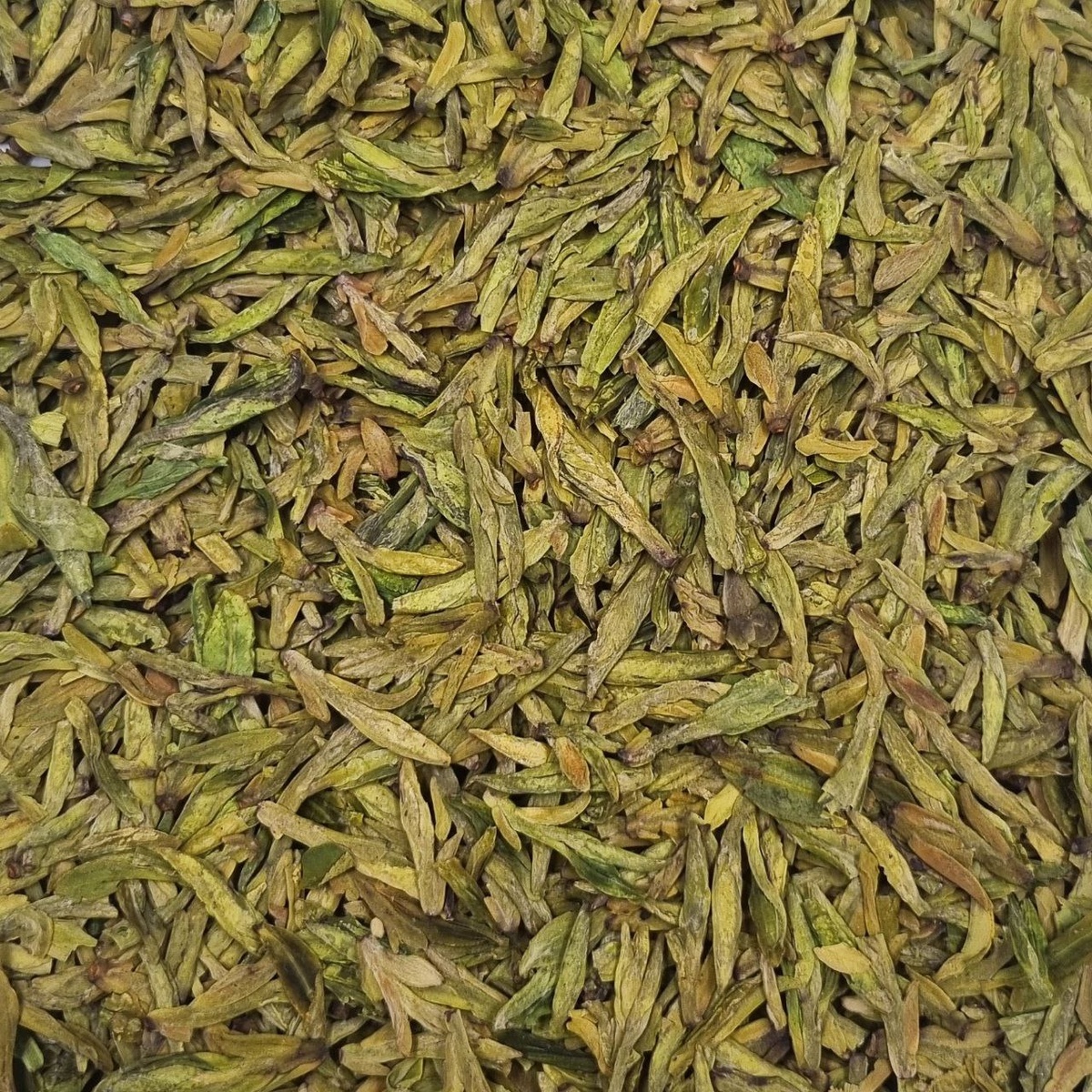 Си Ху Лун Цзин А 2025 (Чжоу)