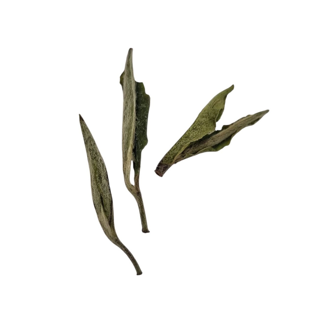 Бай Хао Инь Чжэнь (К)