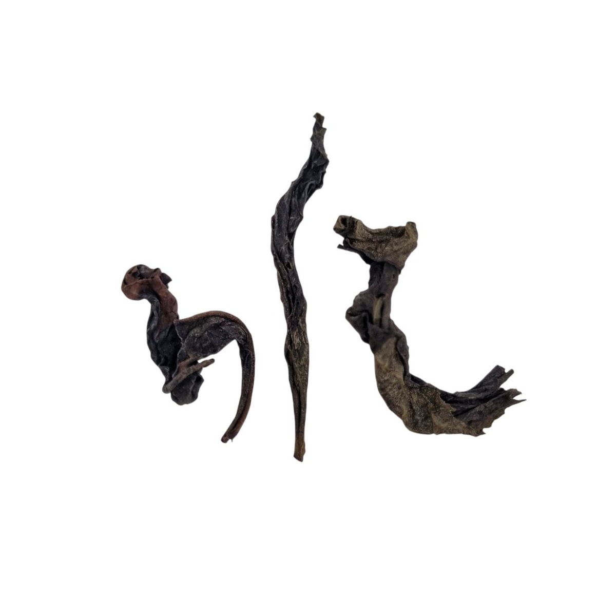 Ци Лань Цинь Хо