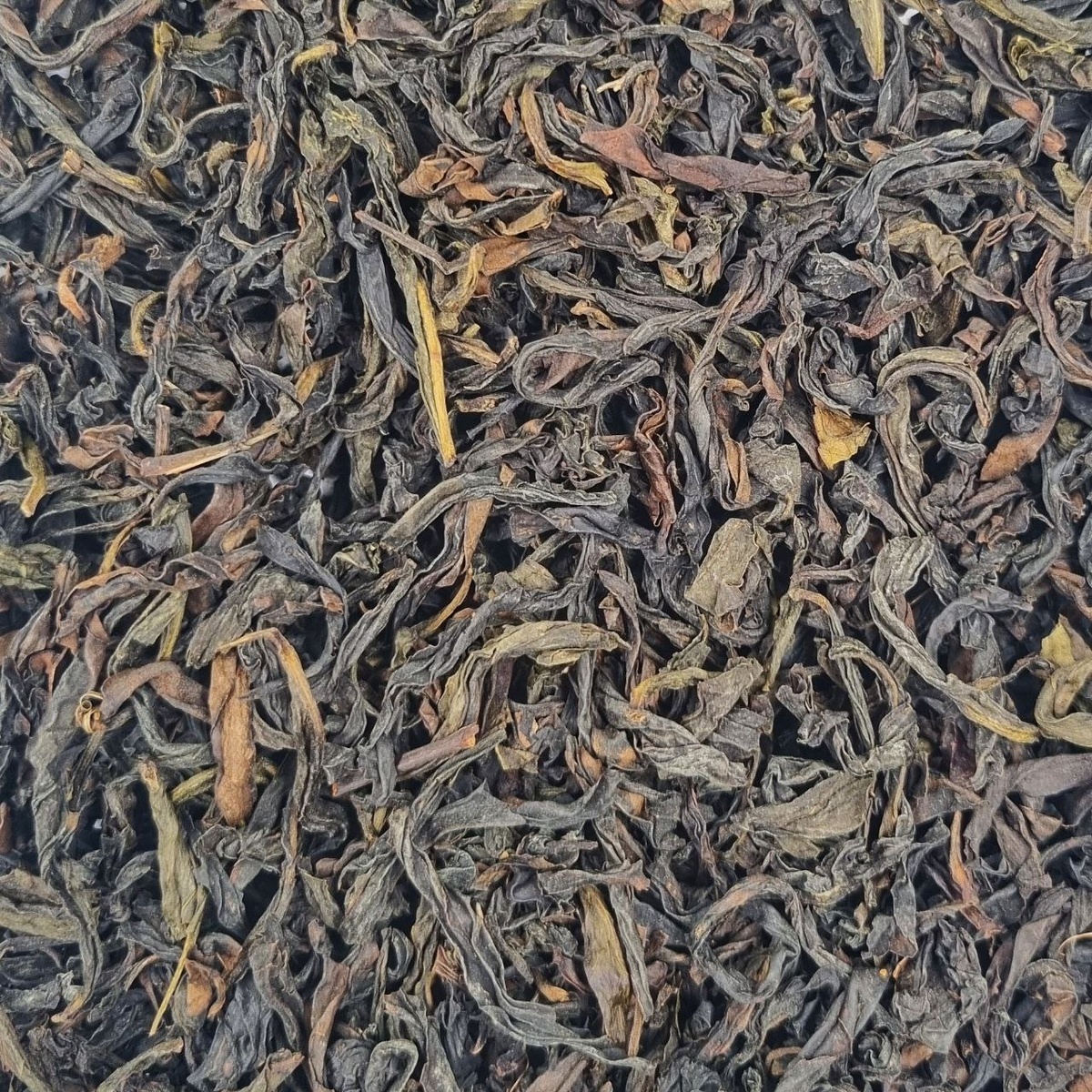 Ци Лань Цинь Хо