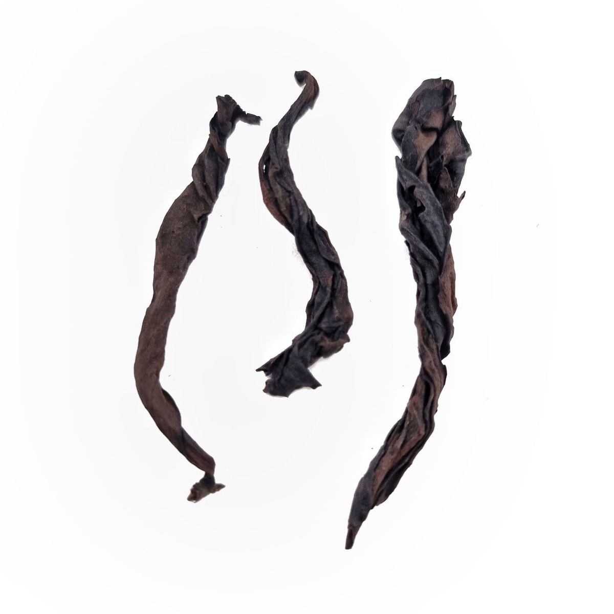 Ци Лань (Лао Янь)