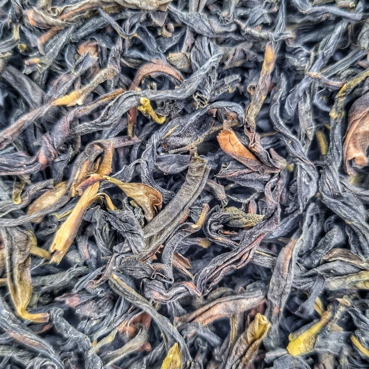 Гуй Хуа Сян Дань Цун (Аи) 