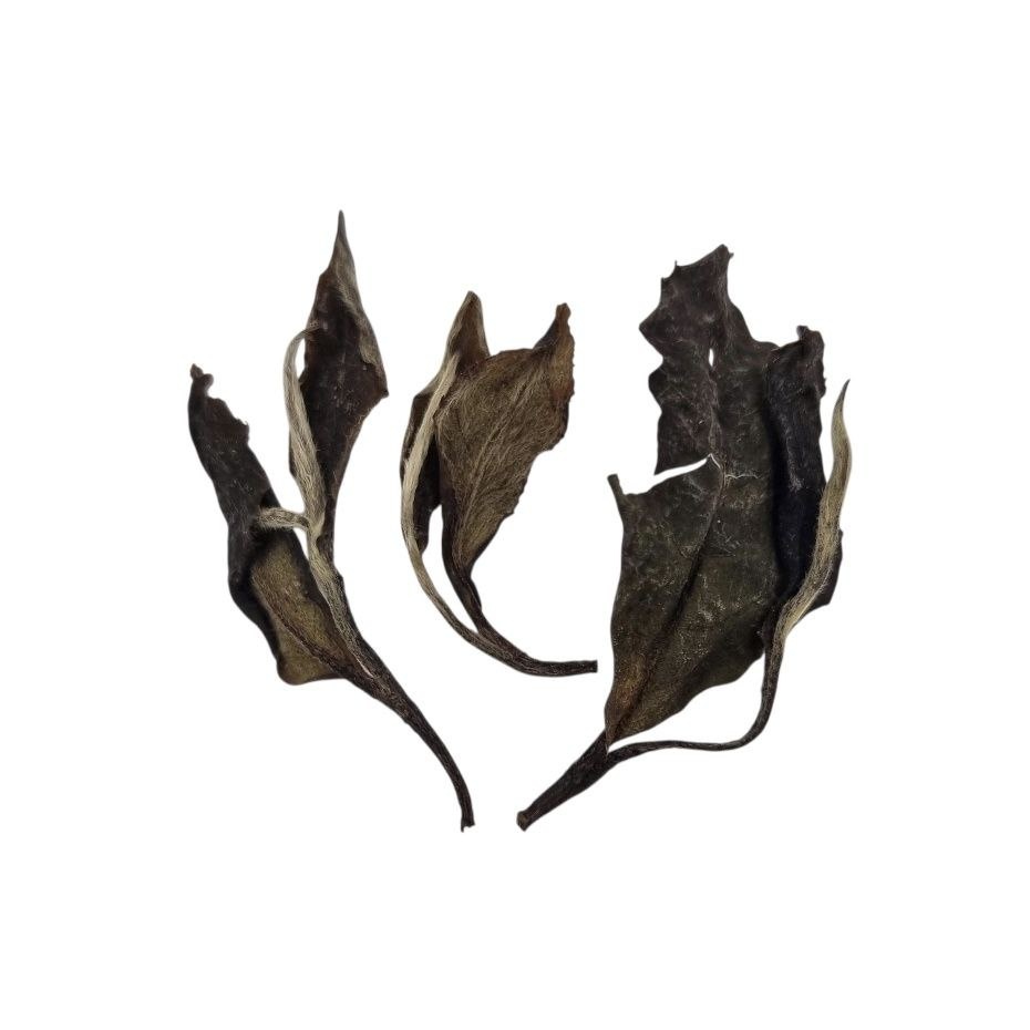 Гун Мэй 2020 (I)