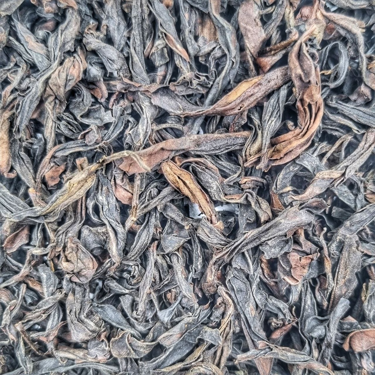 Цзю Лун Кэ Жоу Гуй (А Фан)