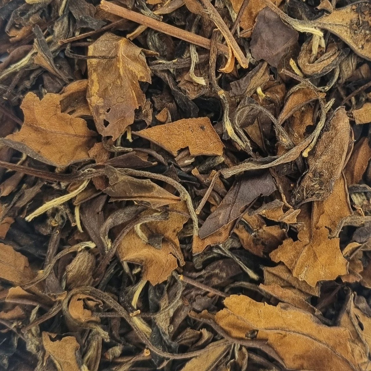 Гун Мэй Лао Бай Ча (Аи) 2011г 