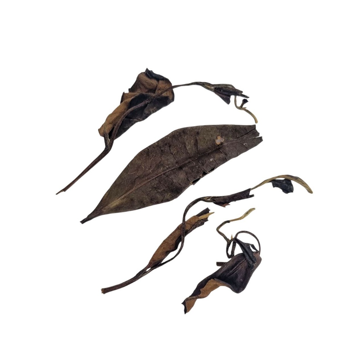 Гун Мэй Лао Бай Ча (Аи) 2011г 