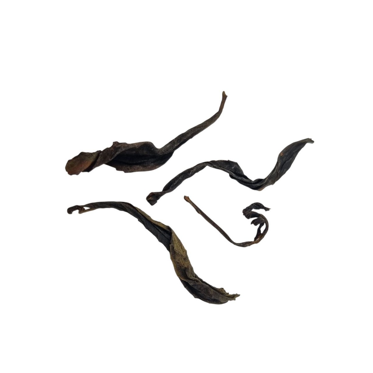 Ци Лань (Аи) 