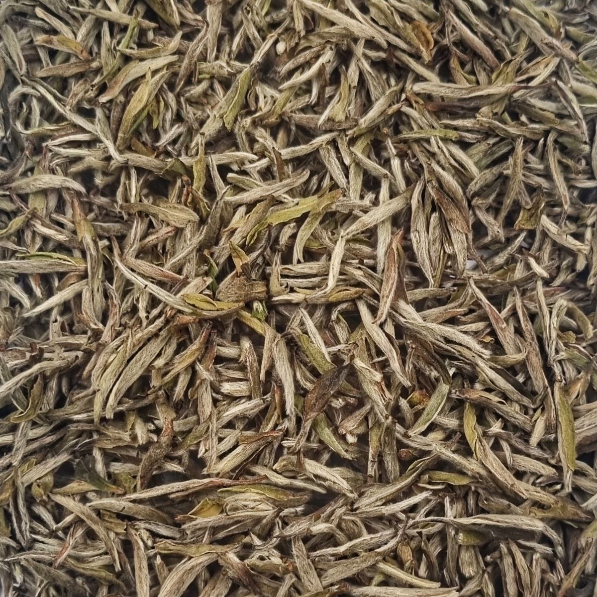 Тан Бэй Бай Хао Инь Чжэнь 2020 (I)