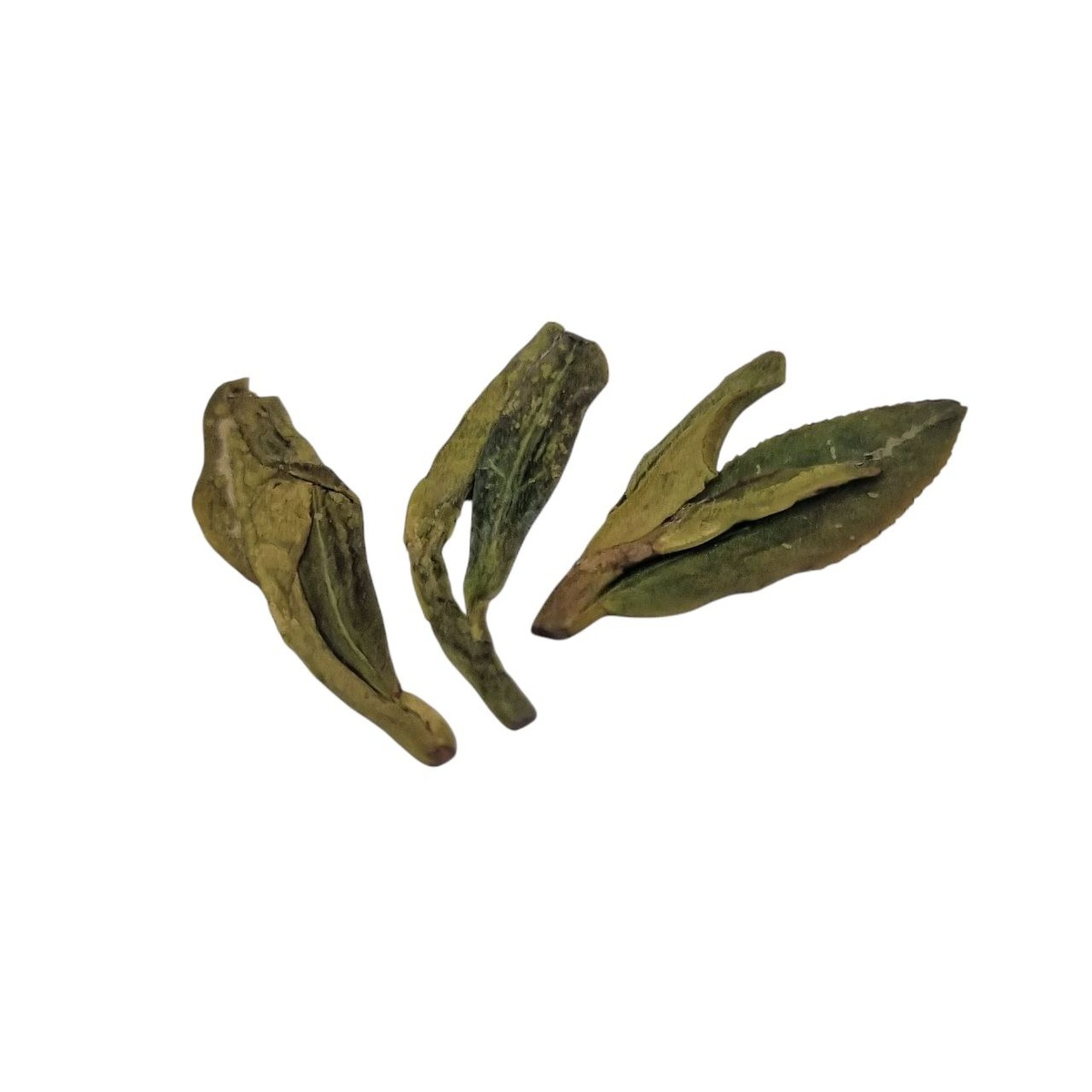 Ши Фэн Лун Цзин 2025 (Чжоу)