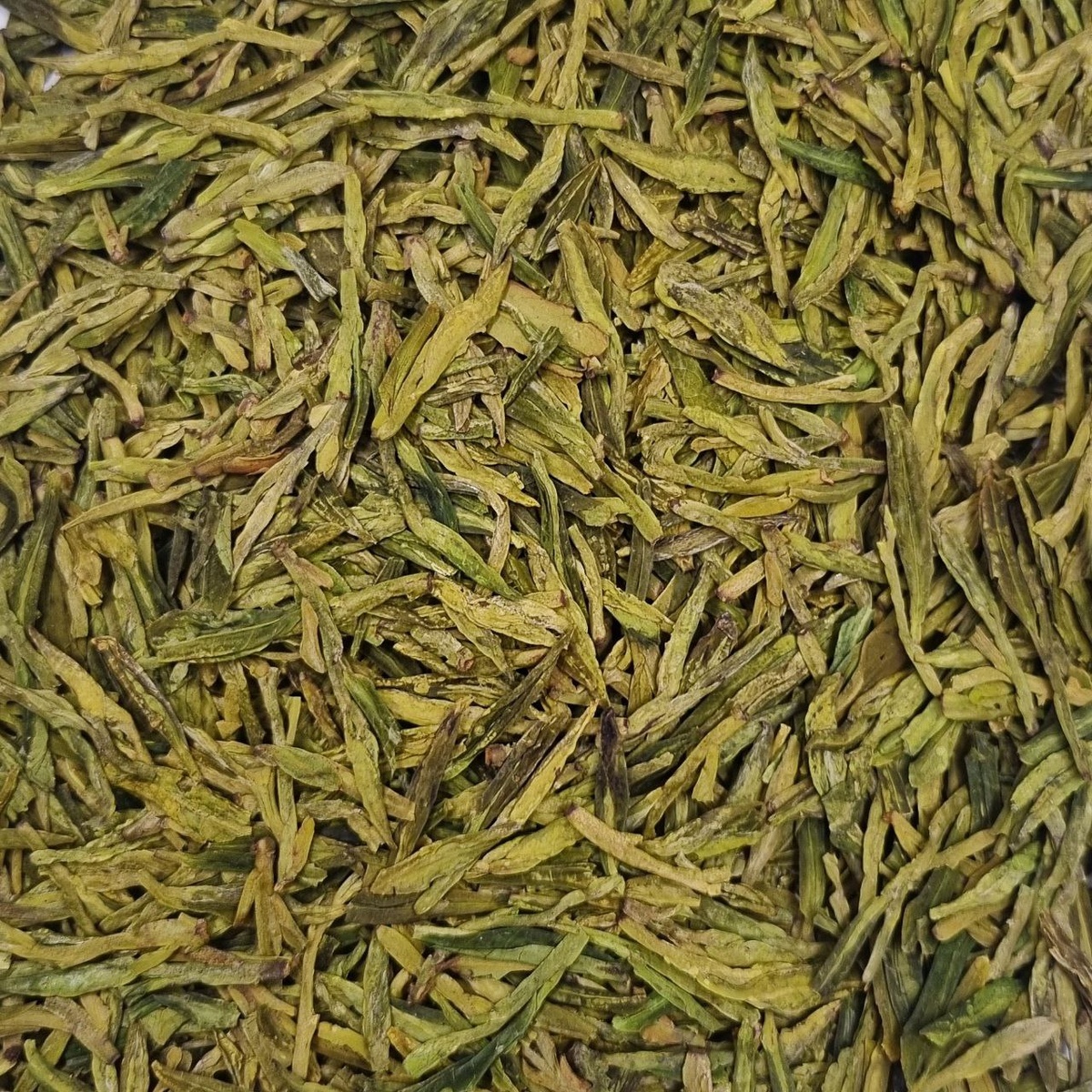 Си Ху Лун Цзин В 2025 (Чжоу)