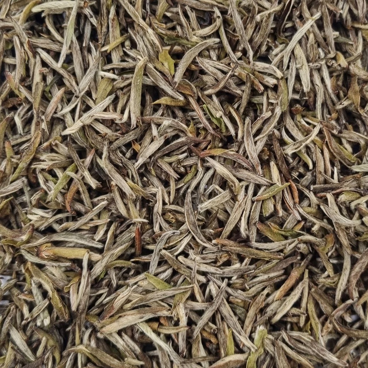 Бай Хао Инь Чжэнь 2016 (I)