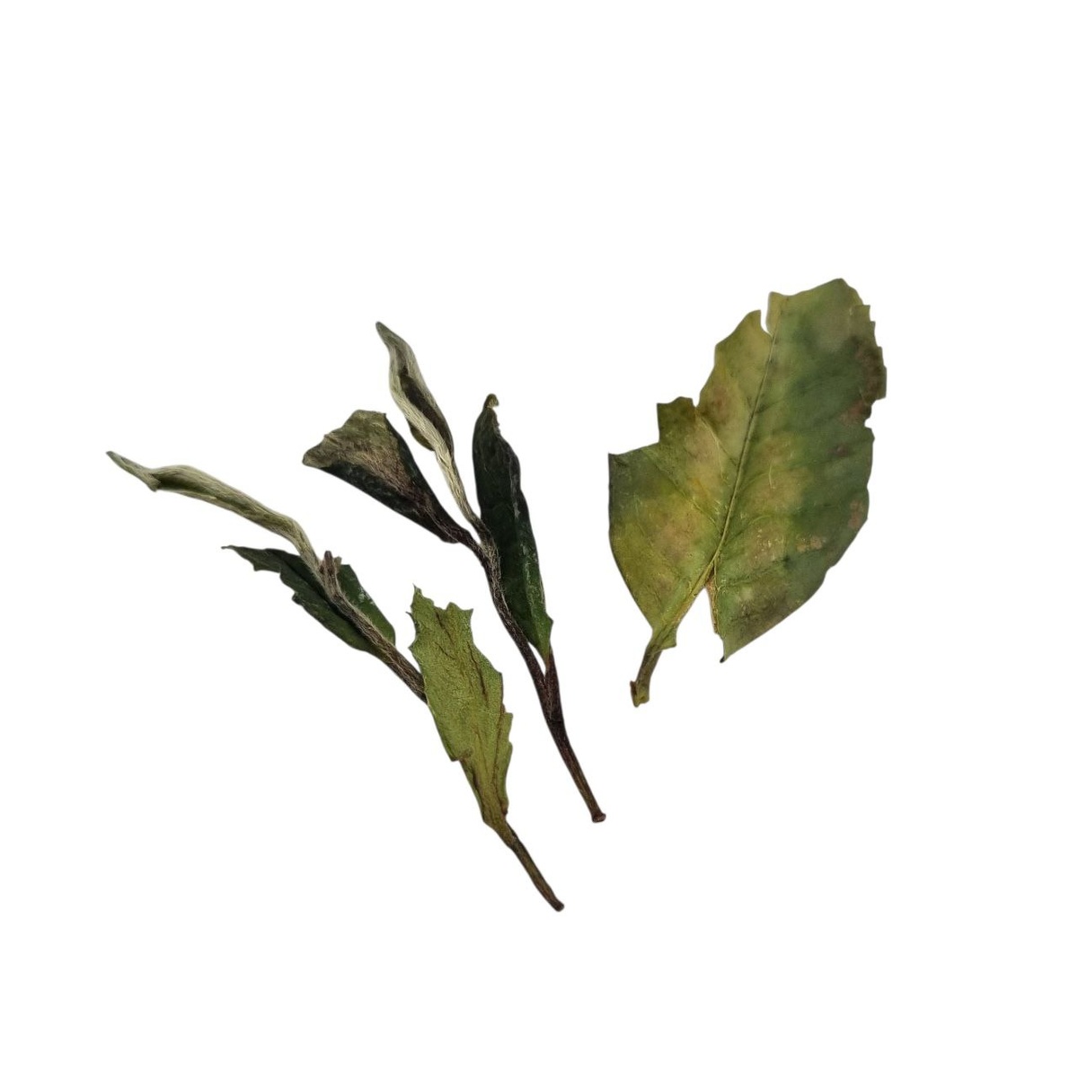 Бай Му Дань (К)