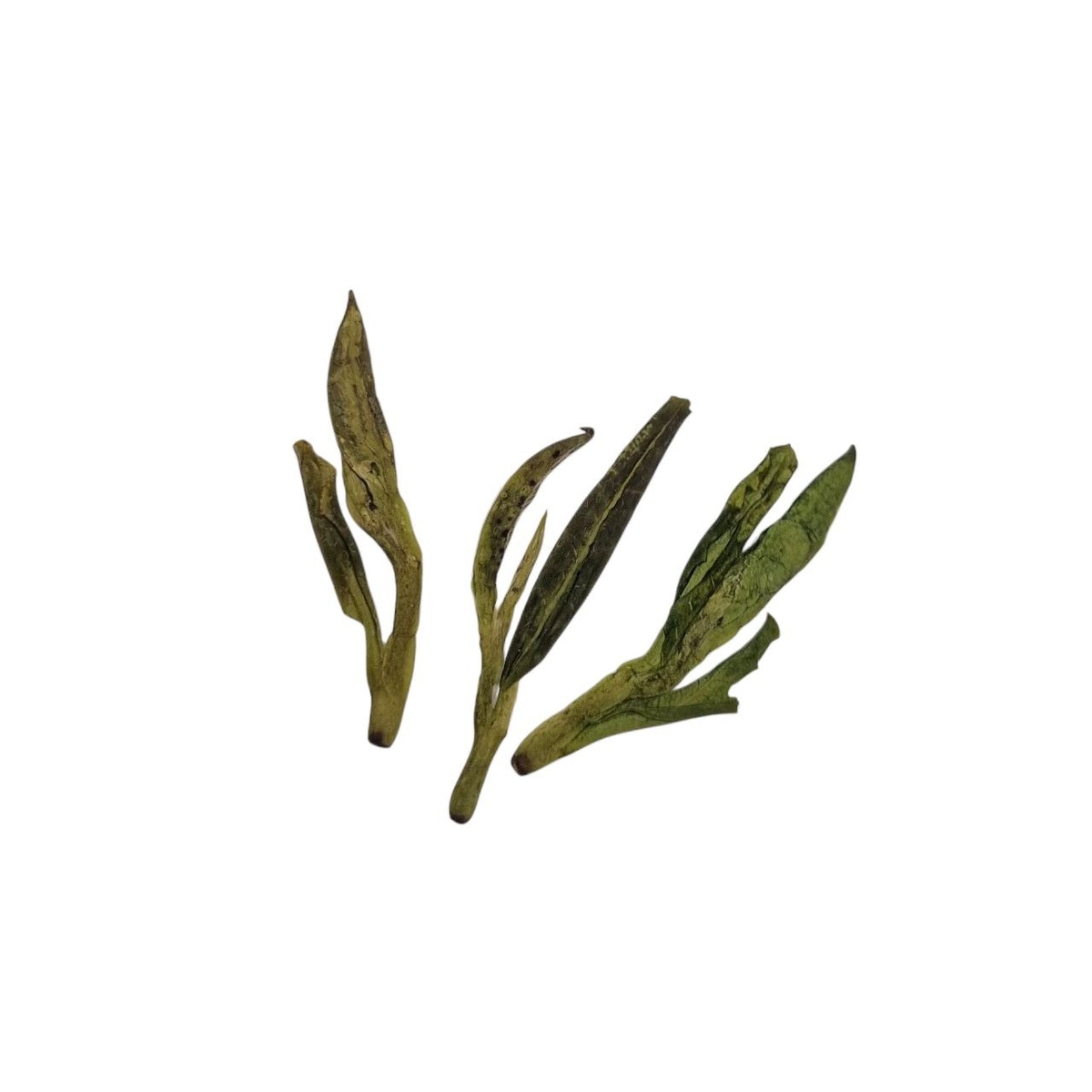 Си Ху Лун Цзин В 2025 (Чжоу)