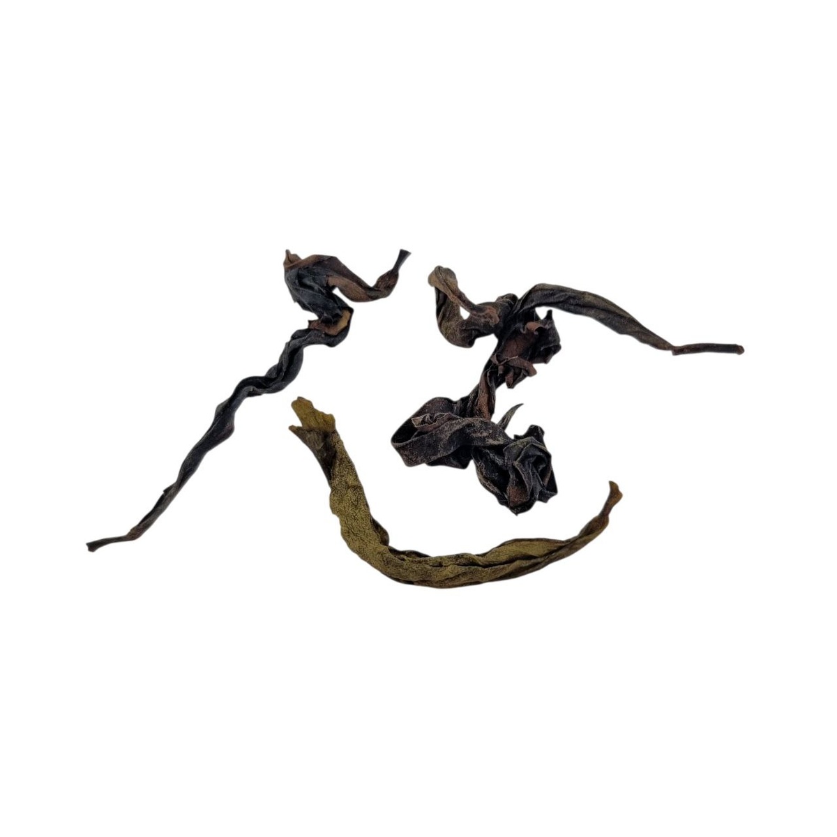 Жоу Гуй (Аи)