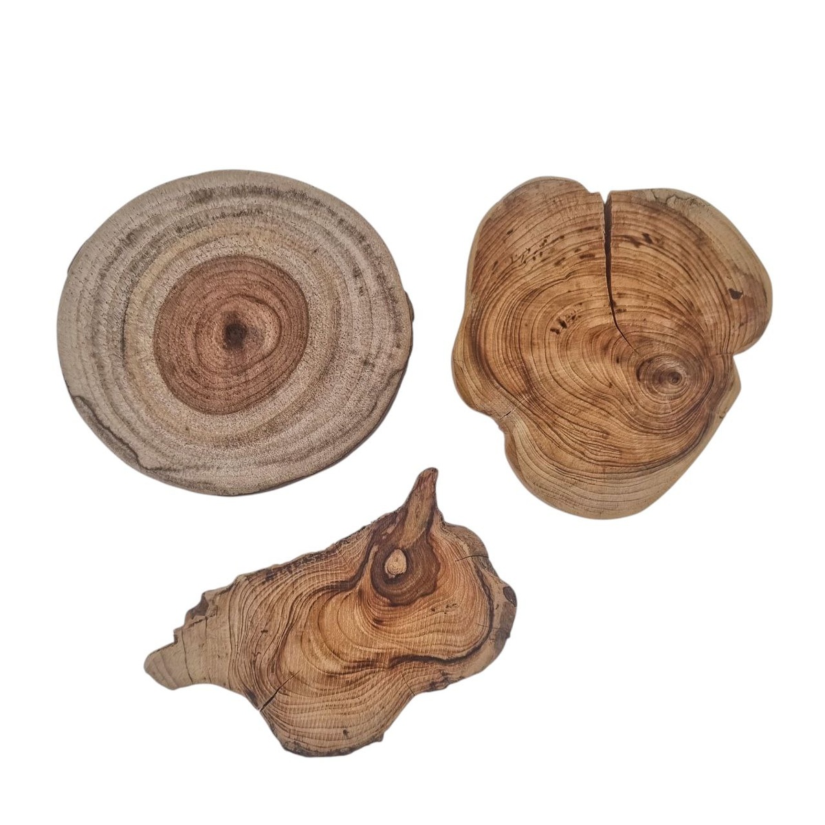 Подставка дерево 1