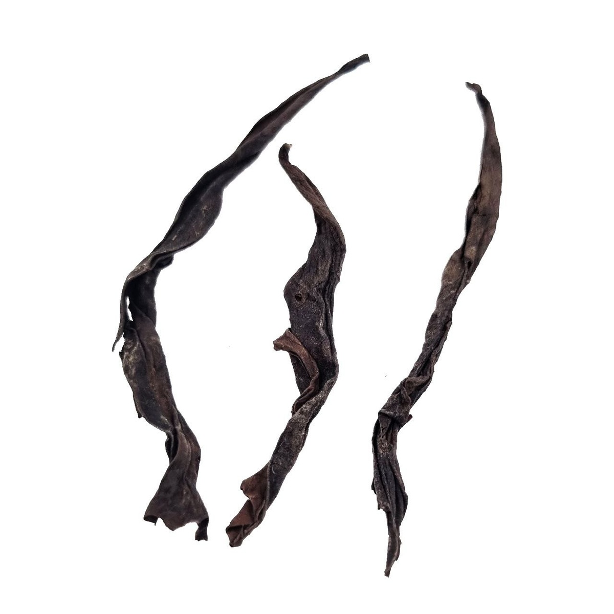 Цзю Лун Кэ Жоу Гуй (А Фан)