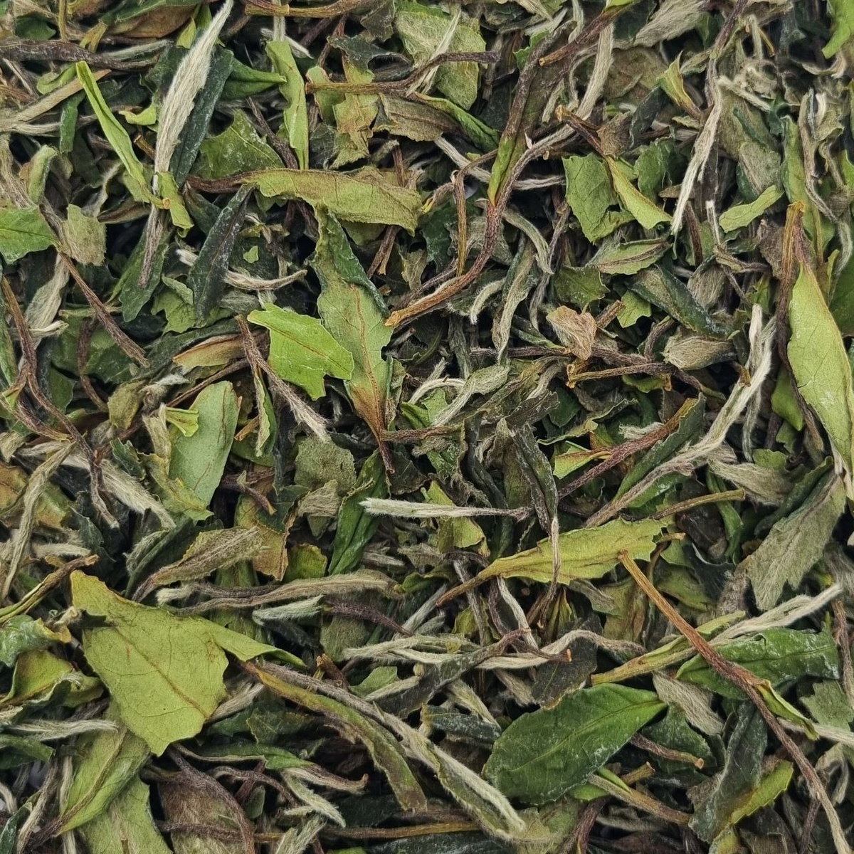 Бай Му Дань (К)