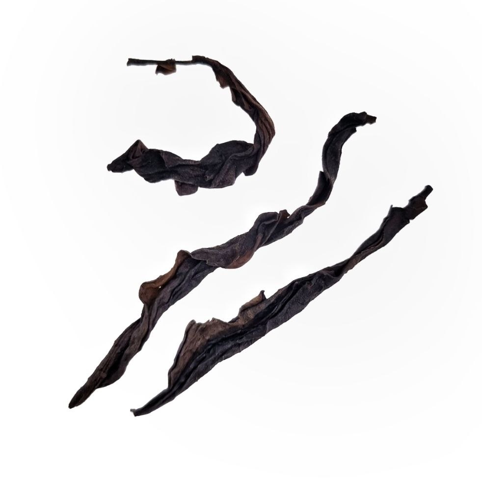 Жоу Гуй Чжэн Ян (А Фан)