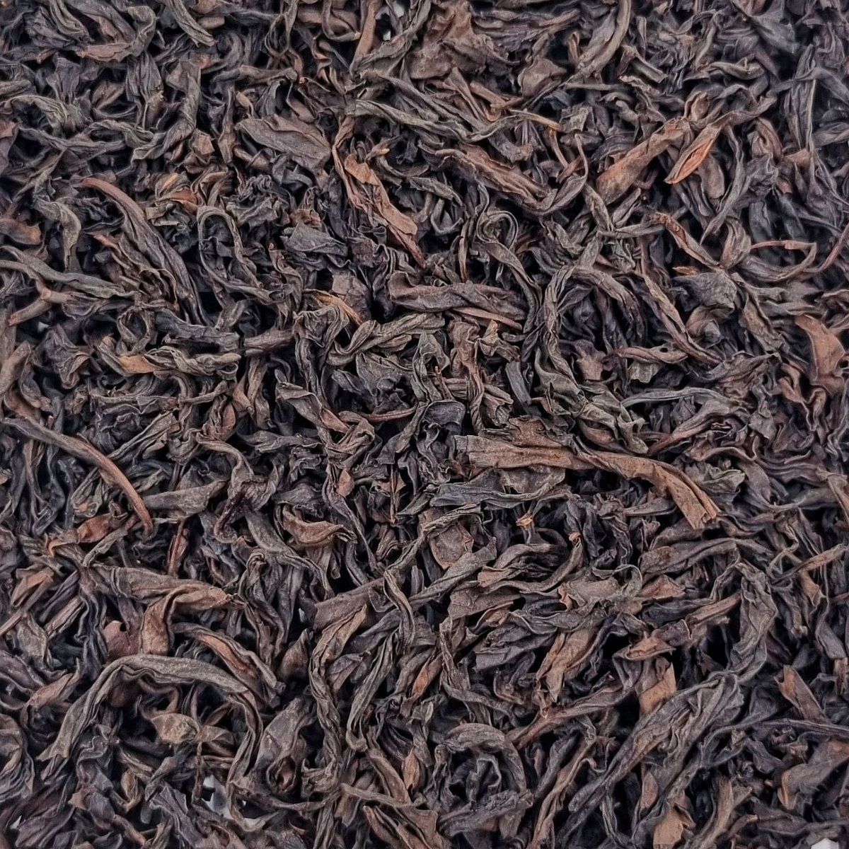 Ци Лань (Лао Янь)