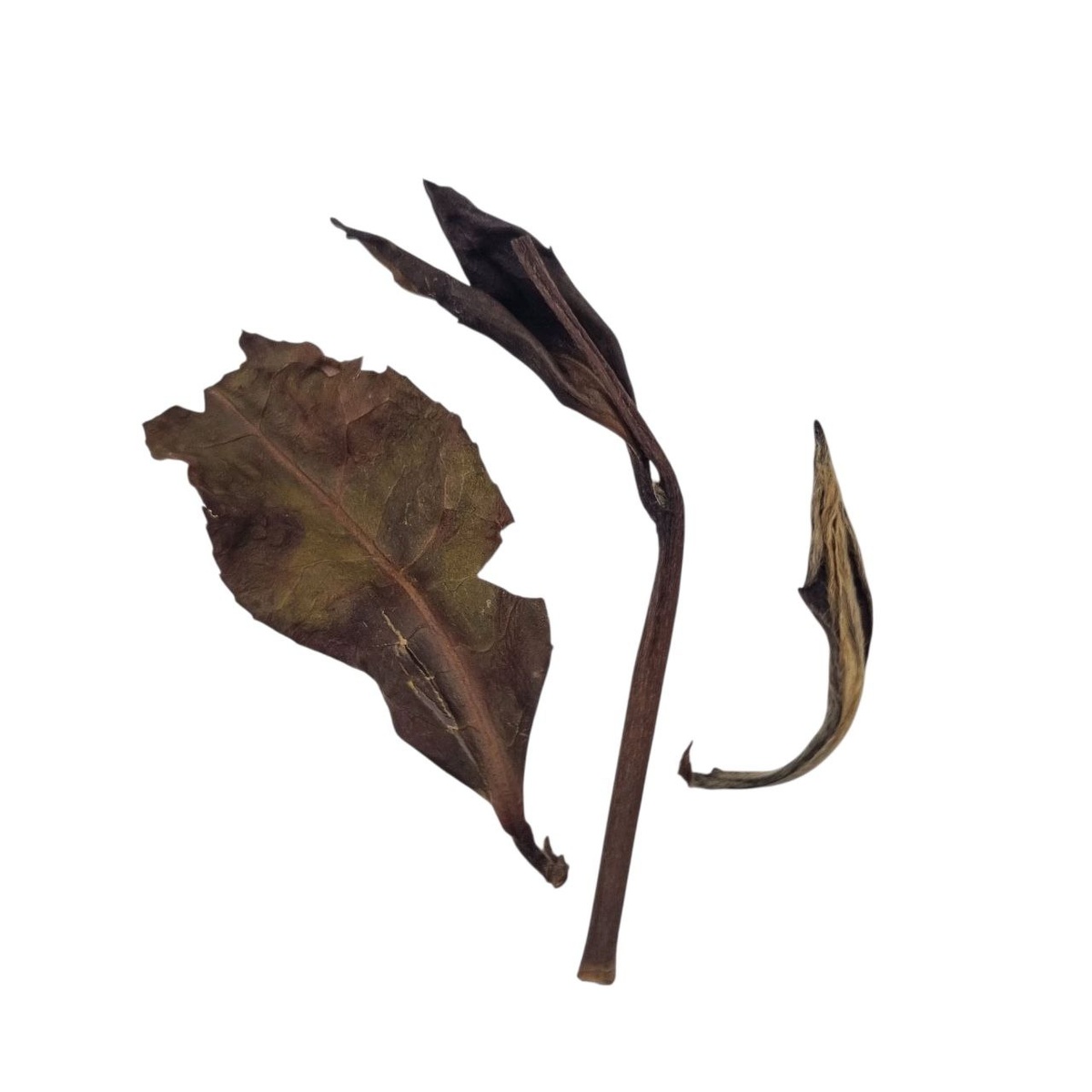 Шоу Мэй 2017 (III)