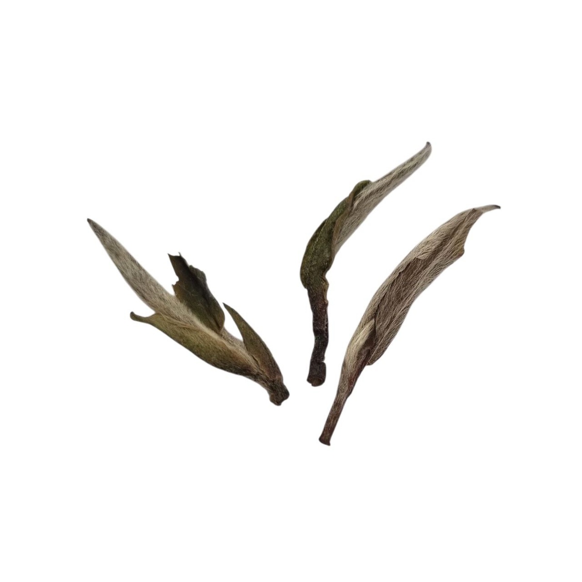 Тан Бэй Бай Хао Инь Чжэнь 2020 (I)