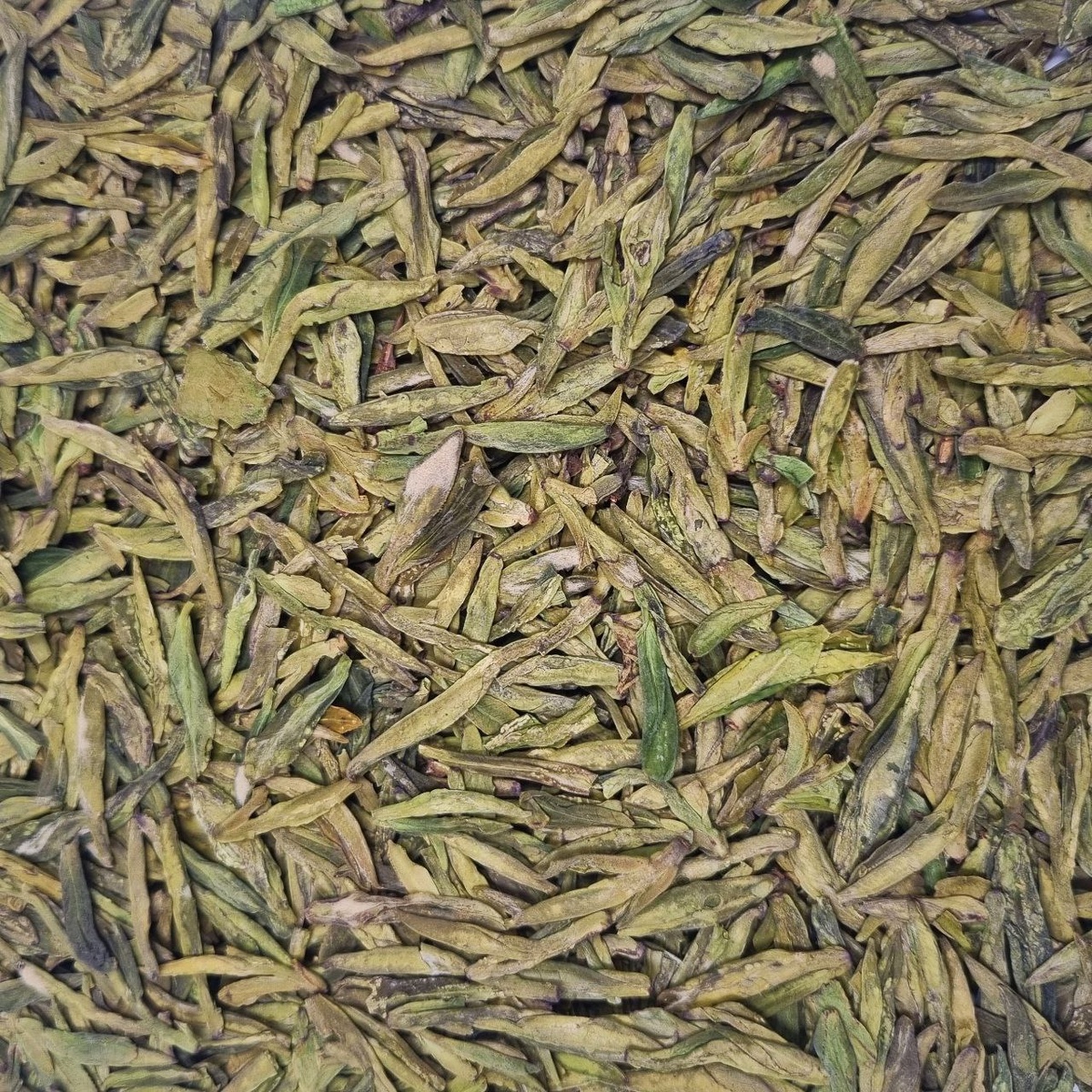 Ши Фэн Лун Цзин 2025 (Чжоу)