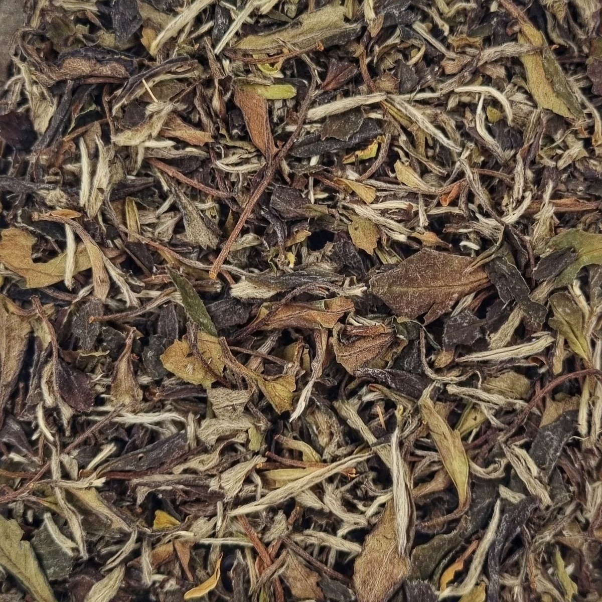 Пао Хуан Бай Ча 2016 (II)