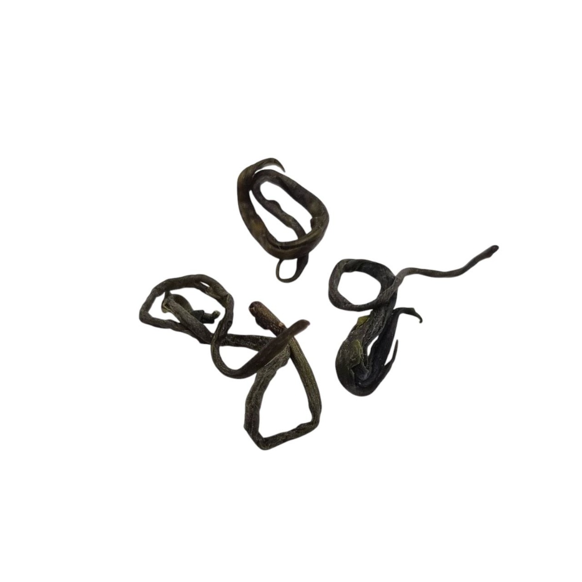 Е Шэн Люй Ча 2025 (К)