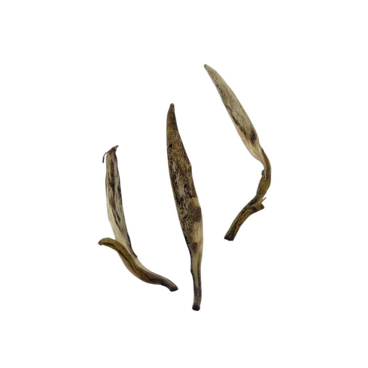 Цзюнь Шань Инь Чжэнь Хуан Чжэнь (I)