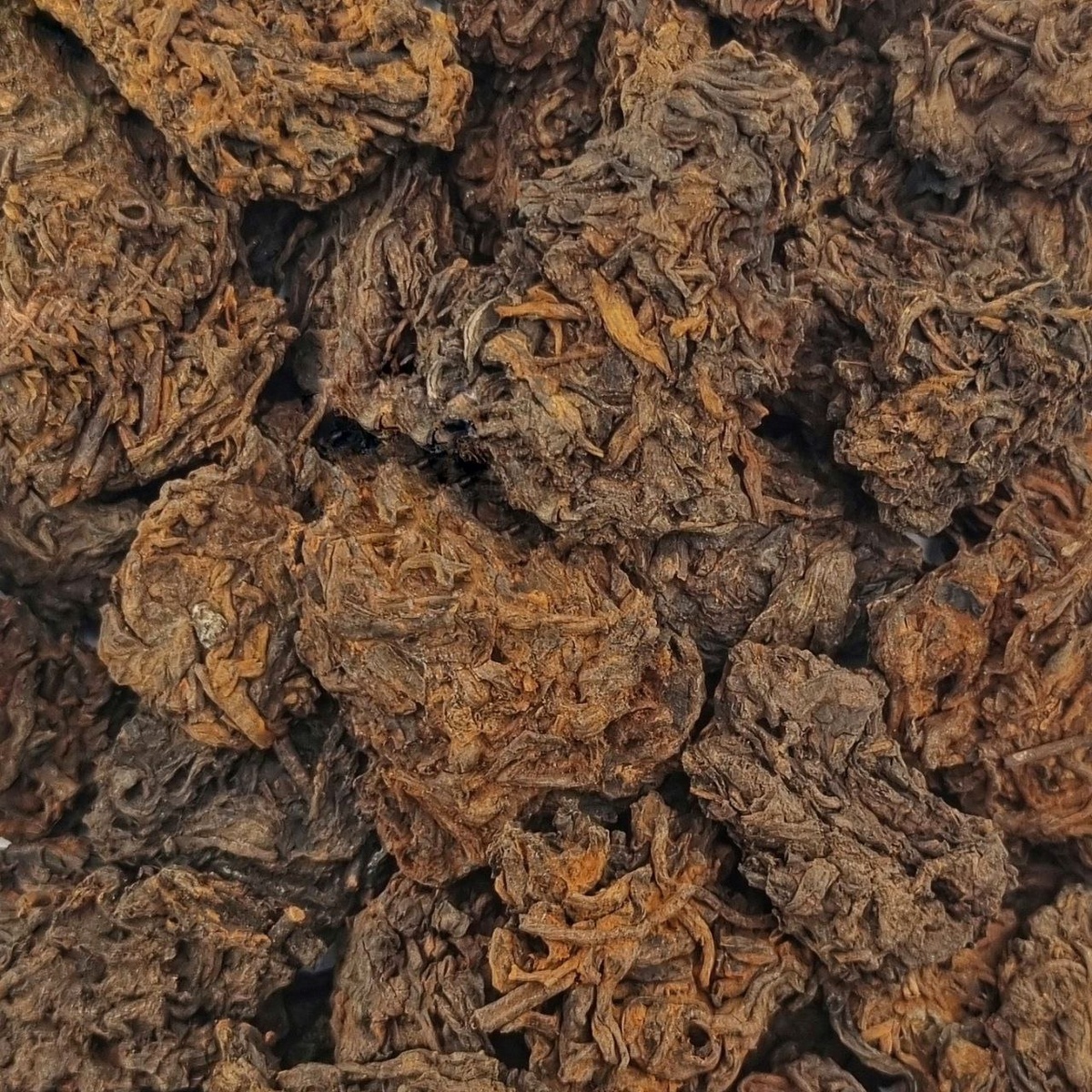 Лао Ча Тоу 2013 (Ли)