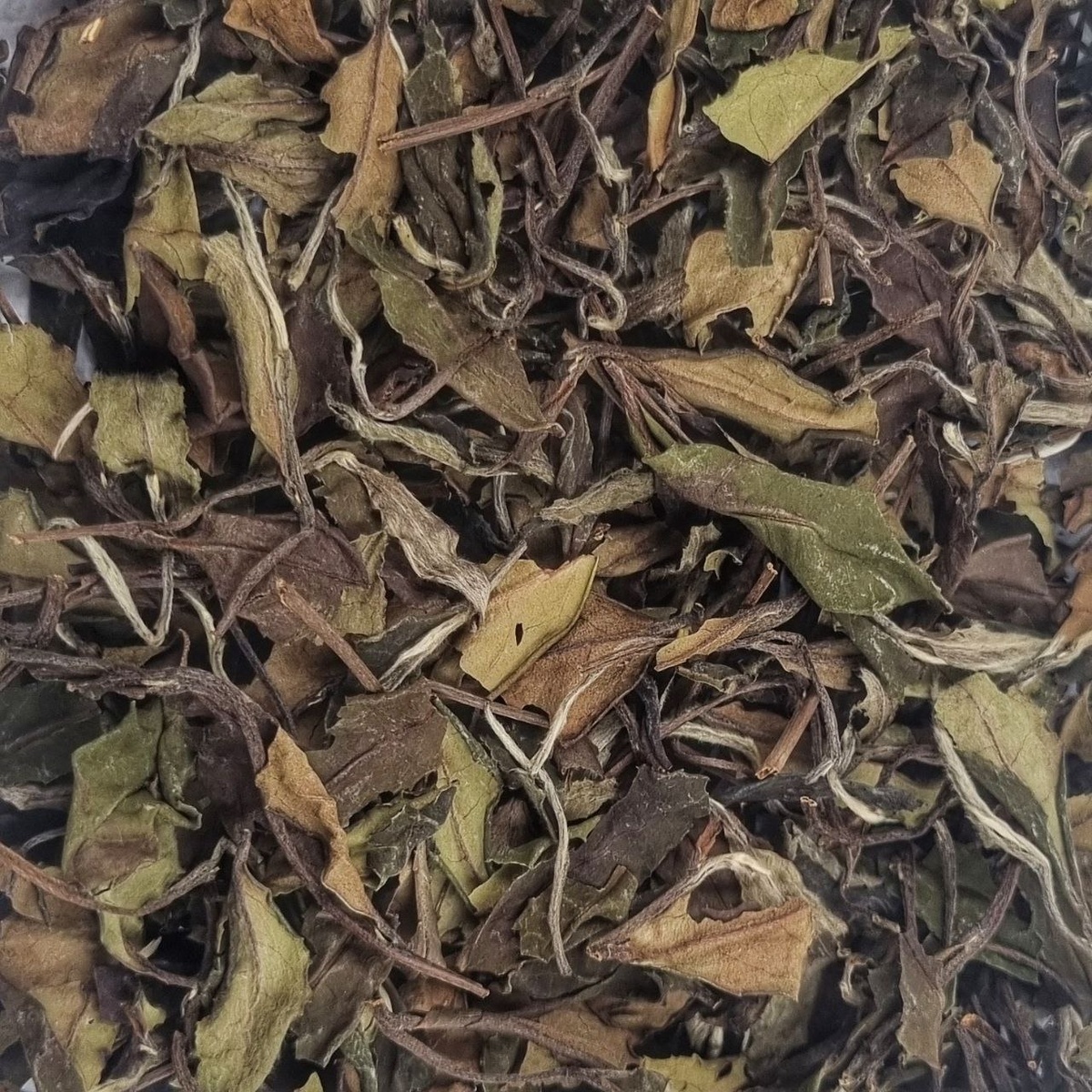 Шоу Мэй Бай Лу 2018 (III)