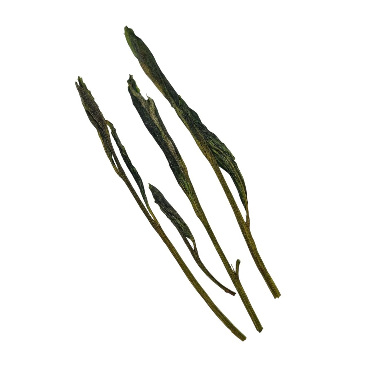 Тай Пин Хоу Куй 2025 (П)